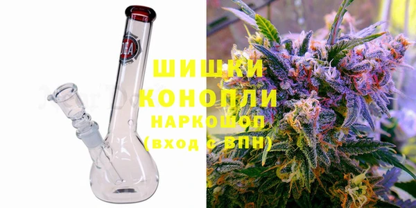 гашик Зеленокумск