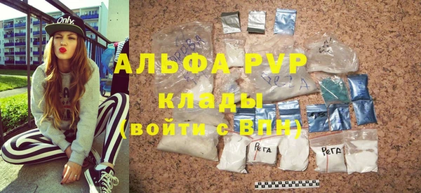 гашик Зеленокумск