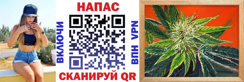 Купить где  Салаир  Бошки Шишки марихуана 